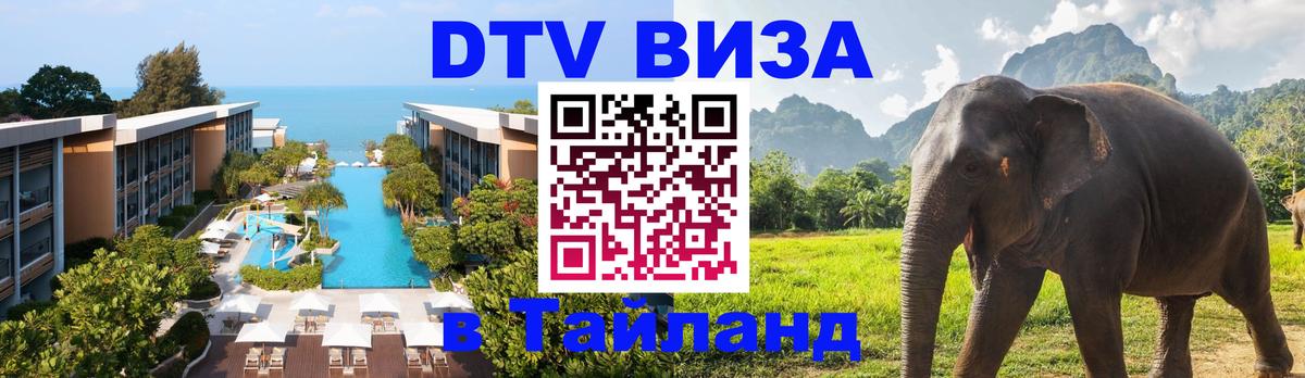Оформление DTV визы под ключ: стоимость и тарифы, только загранпаспорт - 19.11.2025 